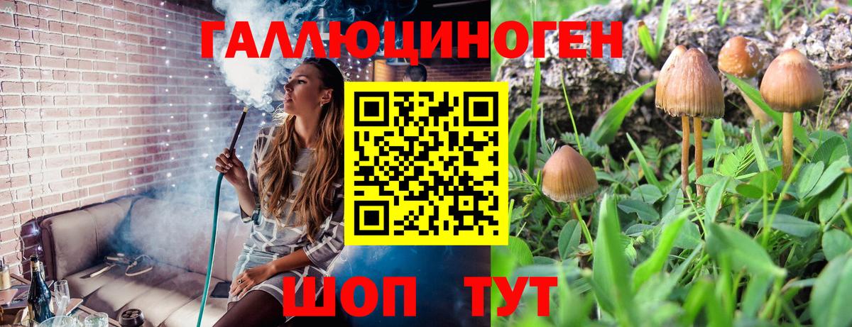 Галлюциногенные грибы GOLDEN TEACHER Тамбов
